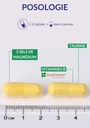 Lepivits - Magnévits